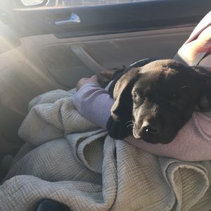 Meet your Posher, Andrew